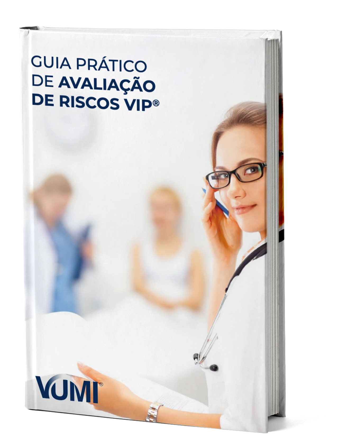 Guia prático de avaliação de riscos vip®